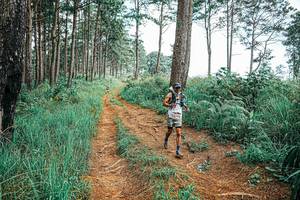 BIB: 
                            <button type="button" onclick="openModal(25693081)" class="btn btn-primary btn-sm float-right btn-popup" data-toggle="modal" data-target=".modal-high-quality">
                        <i class="fas fa-shopping-cart"></i> Add to Cart
                    </button>
                                            <button type="button" onclick="isThisMe(25693081, true)" class="btn btn-success btn-sm float-right btn-popup btn-isme hidden" data-toggle="tooltip" data-placement="bottom" title="นี่คือรูปของคุณใช่ไหม คลิกที่นี่เพื่อเอาเข้าอัลบั้ม">
                        <i class="fas fa-plus"></i> Add to album
                    </button>
                    <button type="button" onclick="isThisMe(25693081, false)" class="btn btn-warning btn-sm float-right btn-popup btn-isnotme hidden">
                        <i class="fas fa-ban"></i> Remove from album
                    </button>